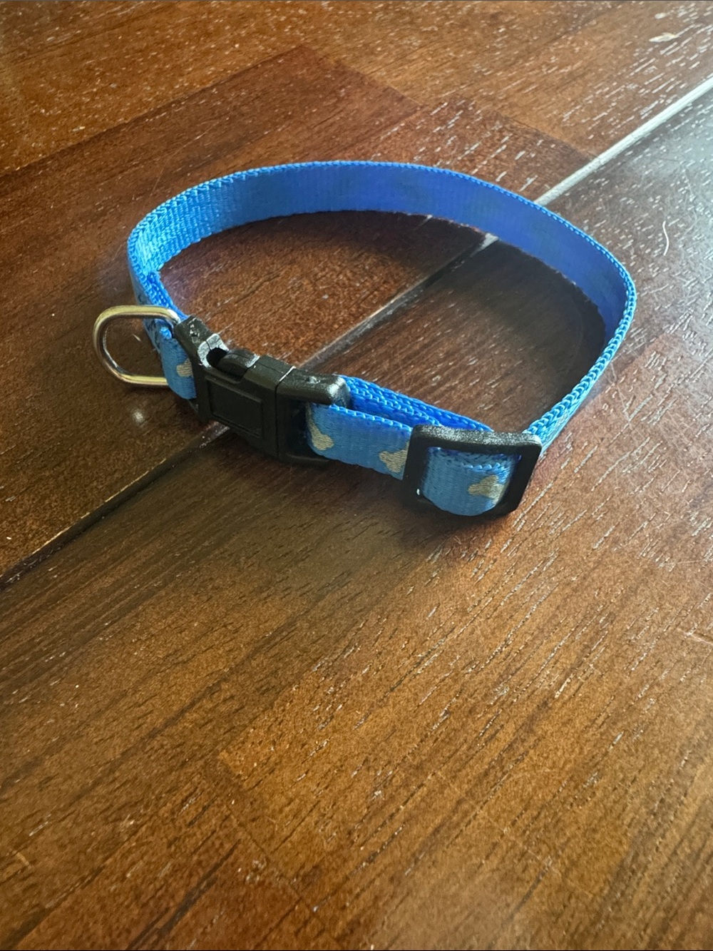 Xtra small Blue Nylon adjustable dog Collar with gray bone Accents
